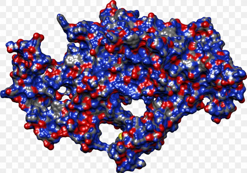 Bispecific Monoclonal Antibody Virus Sterilization Immunoglobulin G, PNG, 2363x1657px, Antibody, Bead, Bispecific Monoclonal Antibody, Blue, Cell Download Free
