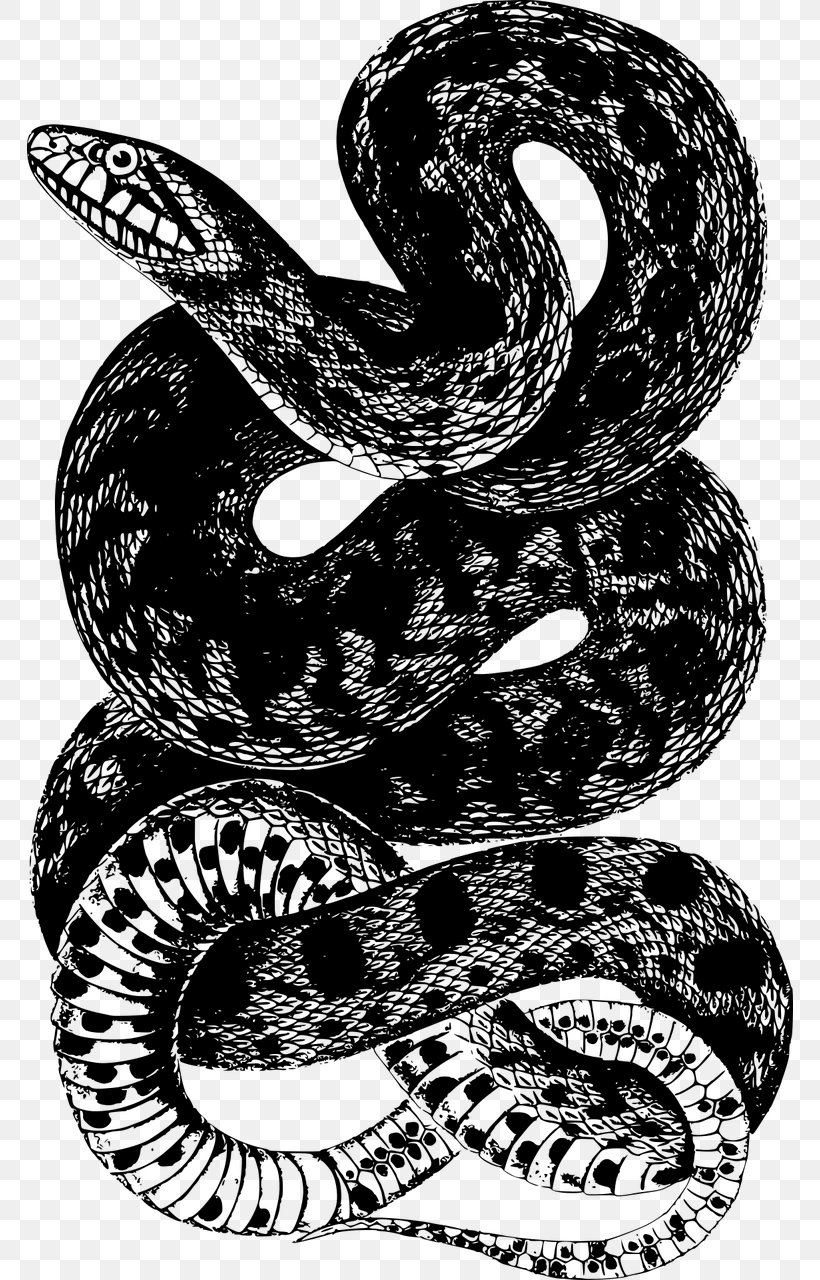 Corn Snake Clip Art, PNG, 766x1280px, Snake, Black And White, Boa Constrictor, Boas, Cobra Download Free