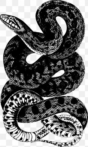 Corn Snake Reptile Rat Snake Clip Art, PNG, 1114x1920px, Snake, Black ...