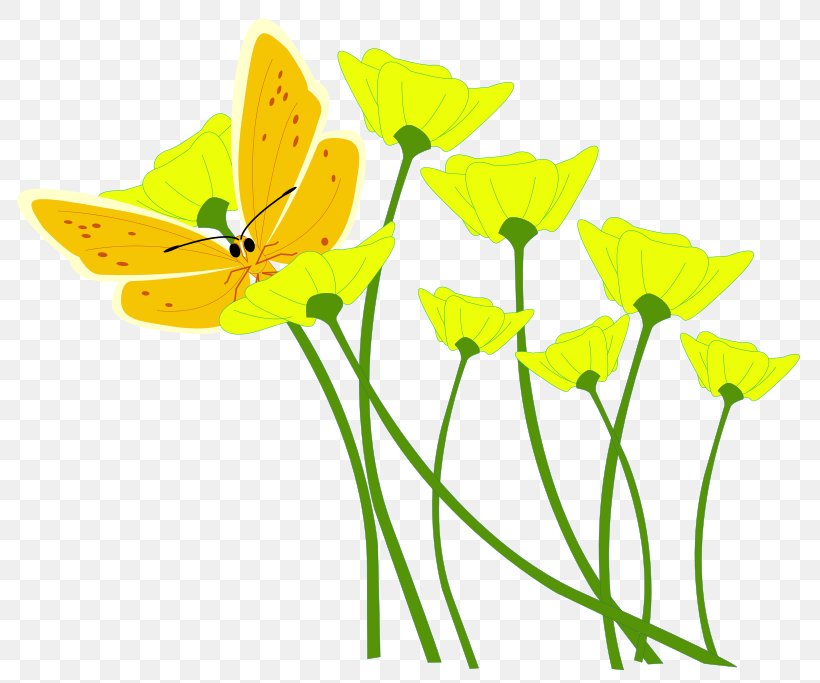 Flower Yellow Clip Art, PNG, 800x683px, Flower, Brush Footed Butterfly, Butterfly, Cut Flowers, Flora Download Free