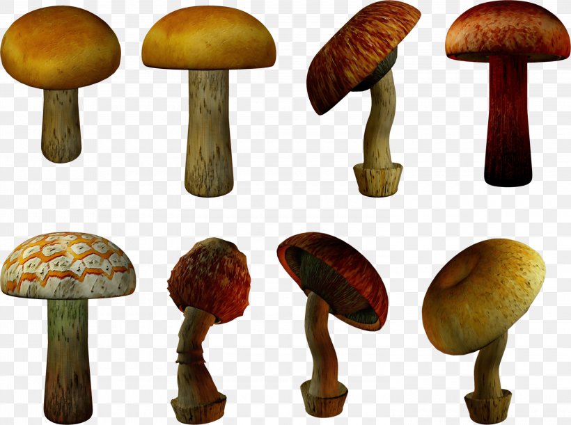 Mushroom Cartoon, PNG, 3000x2236px, Mushroom, Agaric, Agaricaceae, Agaricomycetes, Agaricus Download Free