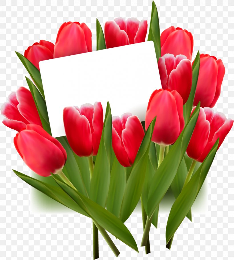 Tulip Flower Red Clip Art, PNG, 883x981px, Tulip, Cut Flowers, Floral Design, Floristry, Flower Download Free