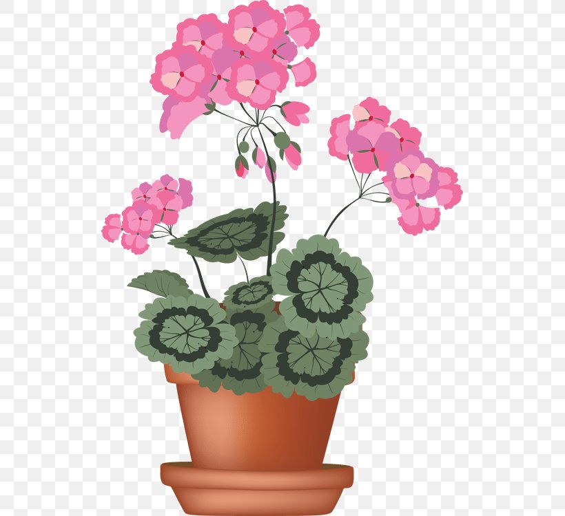 Geraniums Drawing Flower Clip Art, PNG, 525x750px, Geraniums, Annual Plant, Art, Crane Sbill, Cut Flowers Download Free