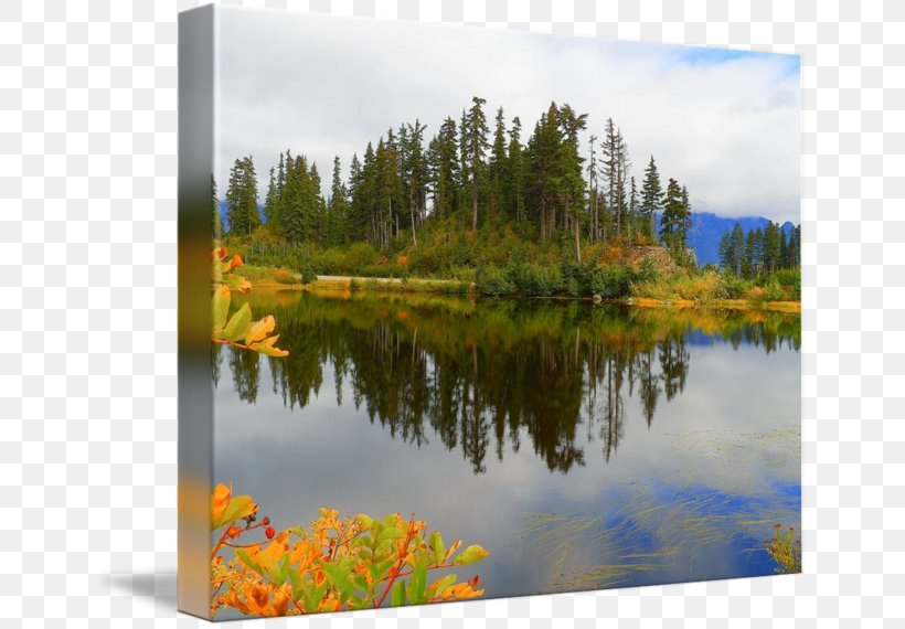 Water Resources Pond Gallery Wrap Ecosystem Canvas, PNG, 650x570px, Water Resources, Art, Bank, Canvas, Ecosystem Download Free