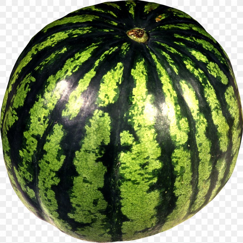 Citrullus Lanatus Var. Lanatus Clip Art, PNG, 2446x2454px, Watermelon, Citrullus, Cucumber Gourd And Melon Family, Cucumis, Cucurbita Download Free