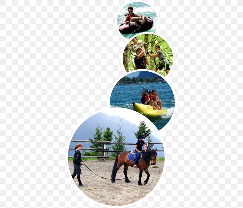 Les Elfes Verbier, PNG, 373x702px, Summer Camp, Camping, Child, Day Camp, Horse Download Free