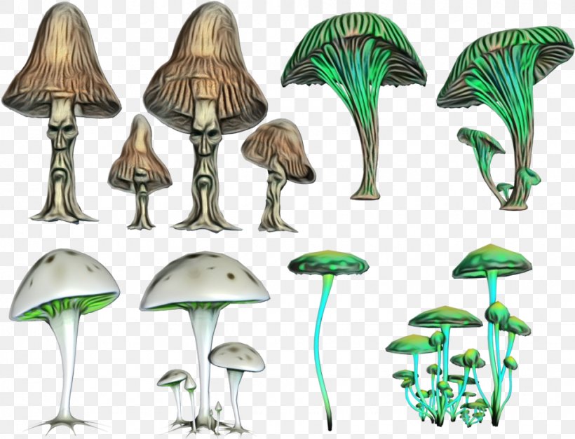 Mushroom Cartoon, PNG, 970x742px, Mushroom, Agaric, Agaricaceae, Agaricomycetes, Agaricus Download Free