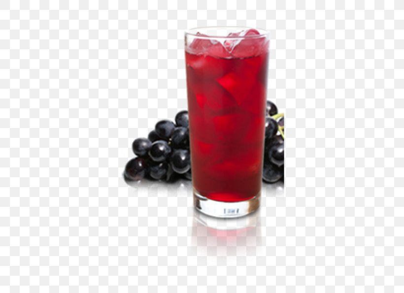 Punch Tinto De Verano Juice Blueberry Tea Piña Colada, PNG, 490x595px, Punch, Berry, Blueberry Tea, Colada, Cranberry Download Free