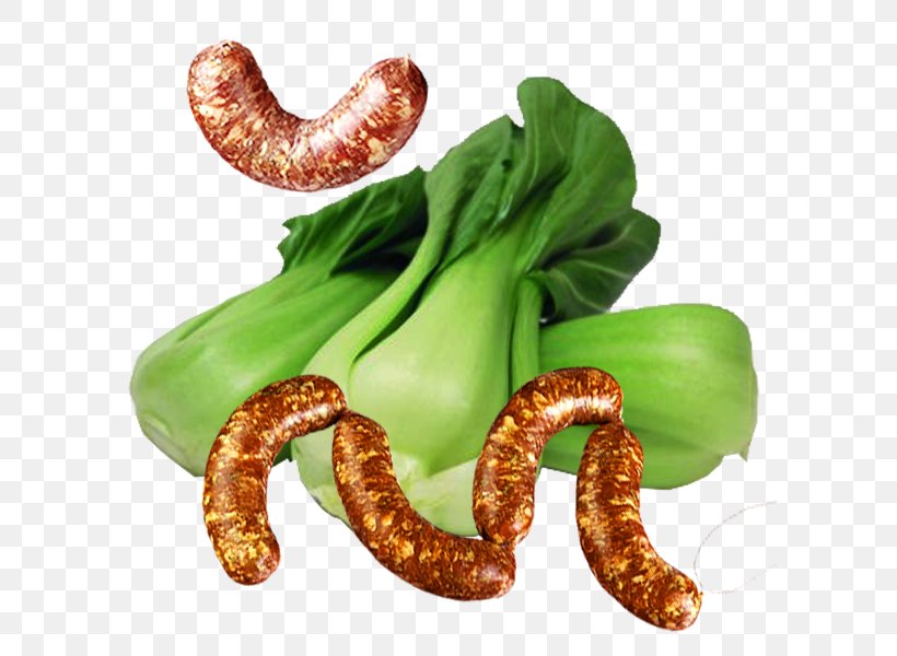 Sausage Vegetarian Cuisine Chinese Cuisine Chinese Cabbage Vegetable, PNG, 600x600px, Vegetarian Cuisine, Bok Choy, Cabbage, Chinese Cabbage, Food Download Free