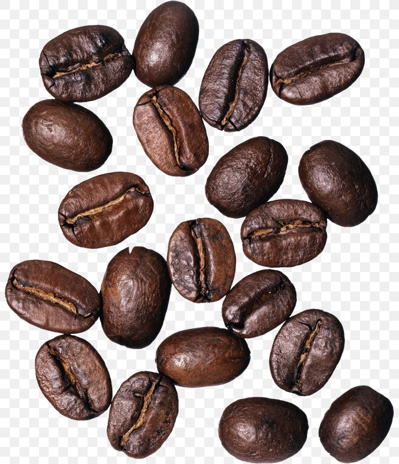 Coffee Bean Cafe Burr Mill Grinding Machine, PNG, 801x955px, Coffee, Angle Grinder, Bean, Burr Mill, Cafe Download Free