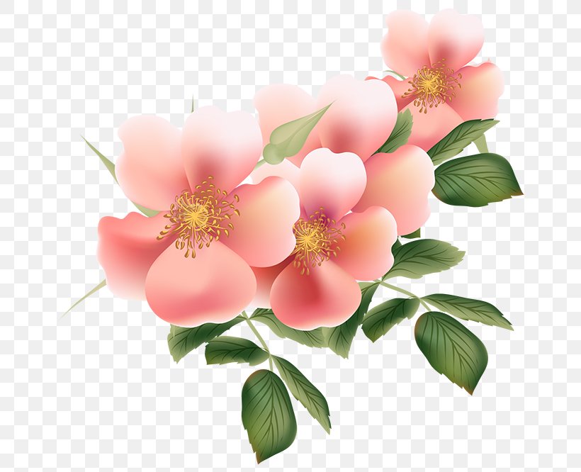 Flower Bouquet Garden Roses Clip Art, PNG, 666x666px, Flower, Blossom, Blume, Branch, China Rose Download Free