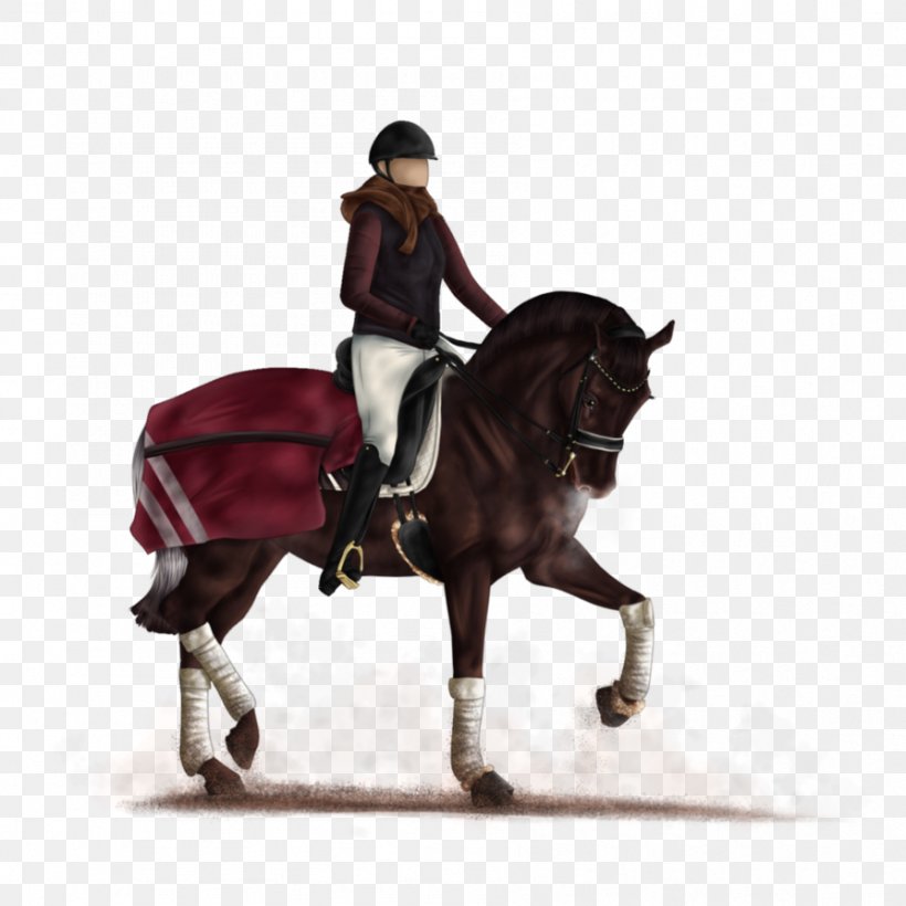 Hunt Seat Stallion Bridle Horse Mare, PNG, 894x894px, Hunt Seat, Bit, Bridle, Dressage, English Riding Download Free