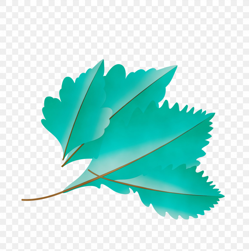 Leaf Green M-tree Turquoise Tree, PNG, 2976x3000px, Autumn Leaf, Biology, Cartoon Leaf, Fall Leaf, Green Download Free