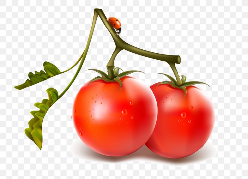 Vegetable Cherry Tomato Tomato Juice, PNG, 768x591px, Vegetable, Bush Tomato, Cherry, Cherry Tomato, Diet Food Download Free
