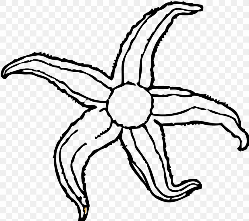 Starfish Clip Art, PNG, 940x834px, Starfish, Animal, Artwork, Black And White, Blog Download Free