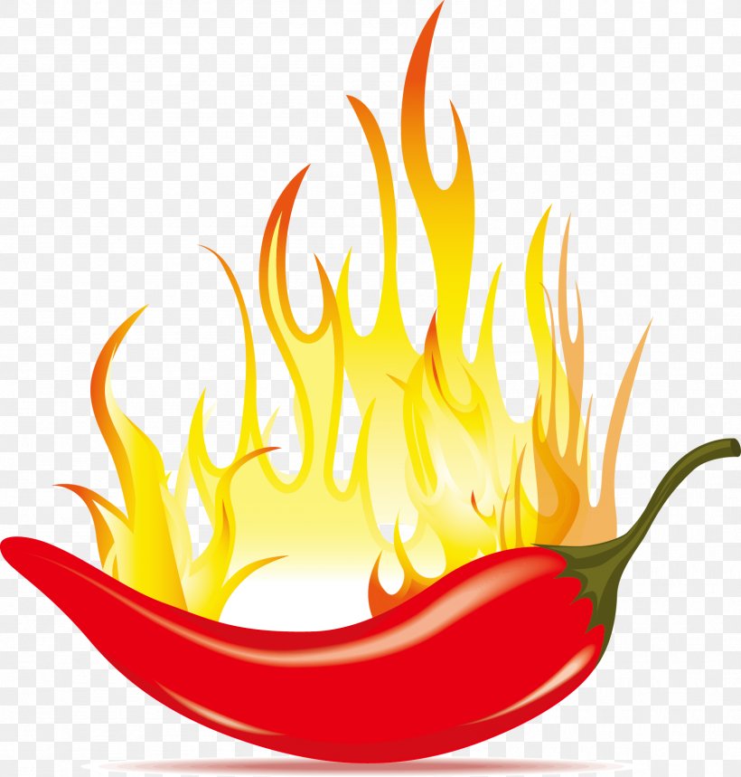 Chili Con Carne Chili Pepper Clip Art, PNG, 1589x1666px, Chili Con Carne, Bell Peppers And Chili Peppers, Black Pepper, Can Stock Photo, Capsicum Download Free