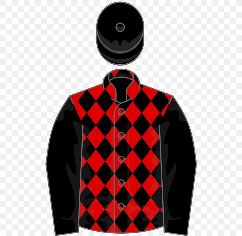 Wikimedia Commons Wikimedia Foundation Thoroughbred Wikipedia Upavon Fillies' Stakes, PNG, 512x799px, Wikimedia Commons, Brand, Horse, Horse Racing, Jacket Download Free