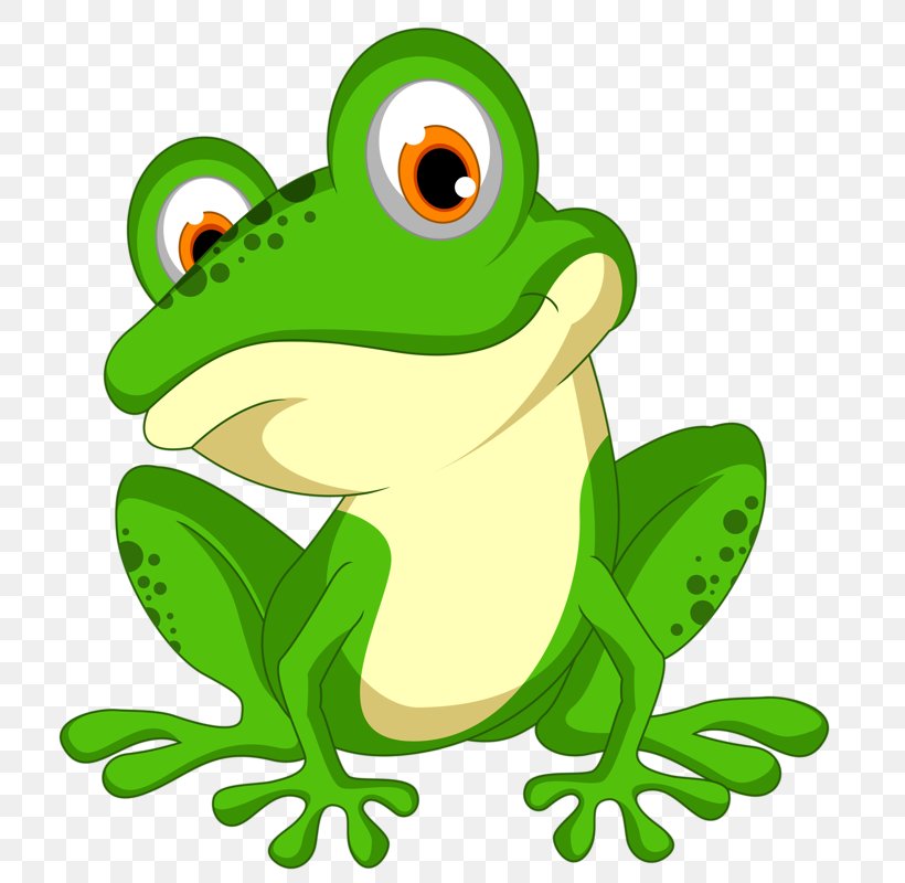Frog Clip Art, PNG, 735x800px, Frog, Amphibian, Animation, Cartoon, Cuteness Download Free