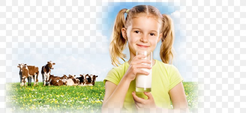 Goat Milk Cattle Dairy Products, PNG, 870x400px, Watercolor, Cartoon, Flower, Frame, Heart Download Free