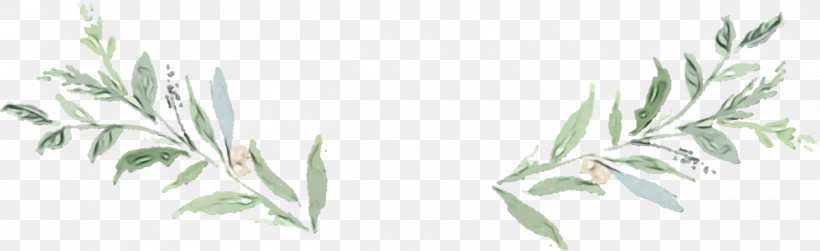 Leaf Plant Stem Twig Line Art Tree, PNG, 1200x368px, Watercolor, Biology, Commodity, Family, Flora Download Free