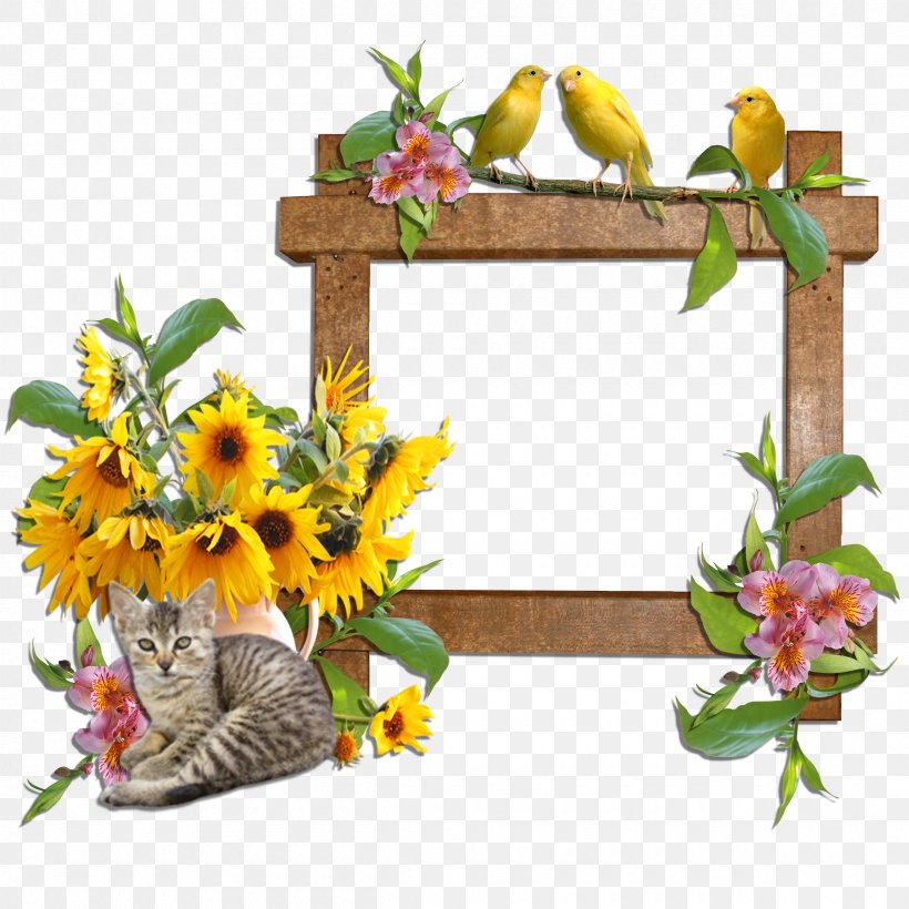 Picture Frames Cat Domestic Animal Flower Clip Art, PNG, 2400x2400px, Picture Frames, Animal, Cat, Cut Flowers, Dog Download Free