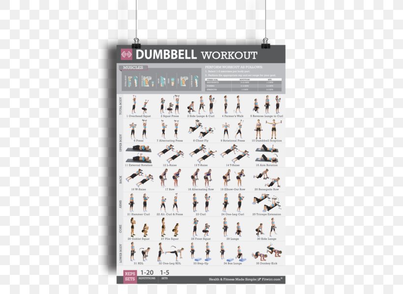 Dumbbell Bodyweight Exercise Weight Training Strength Training, PNG, 461x599px, Dumbbell, Abdominal Exercise, Aerobic Exercise, Barbell, Bodyweight Exercise Download Free