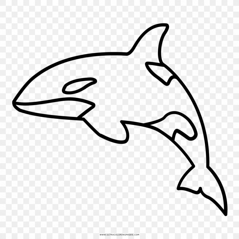 Killer Whale Cetacea Coloring Book Drawing, PNG, 1000x1000px, Killer Whale, Animal, Artwork, Beak, Black Download Free