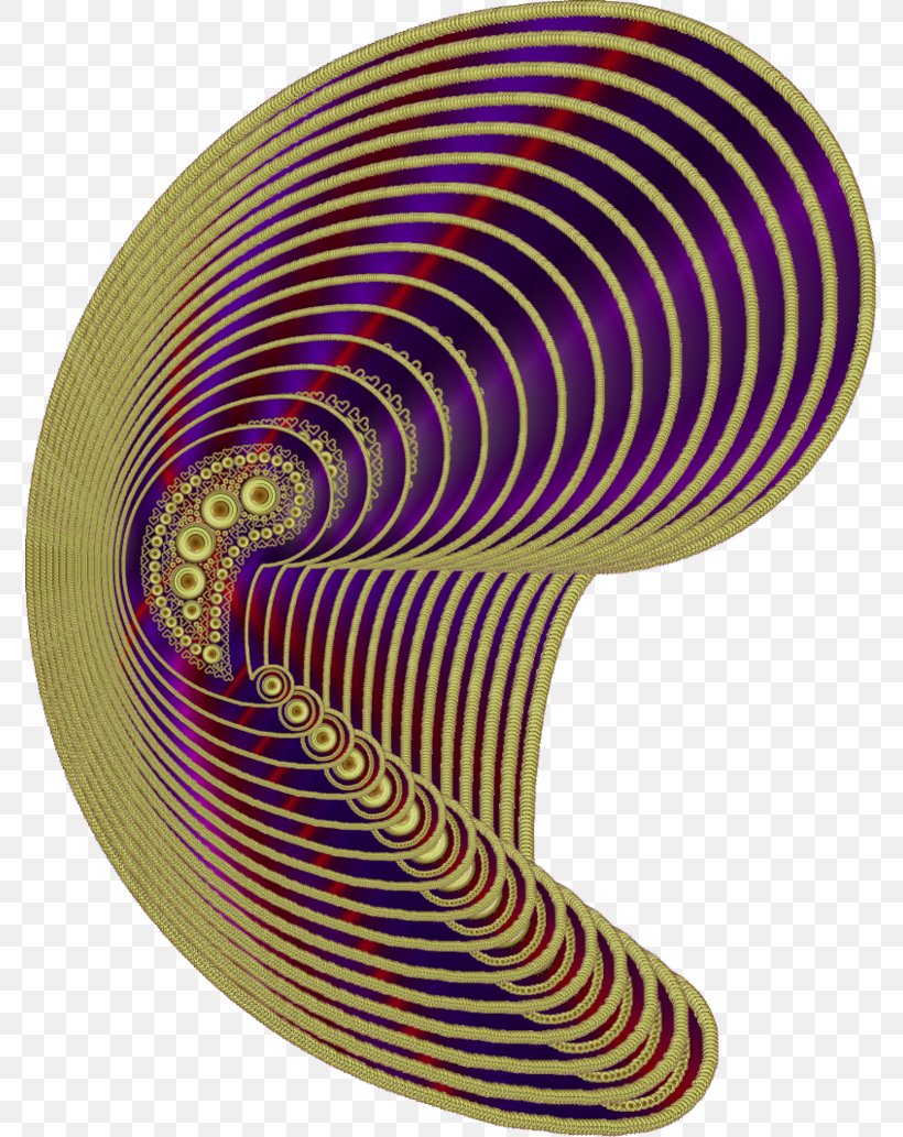 Nautiluses Line, PNG, 773x1033px, Nautiluses, Nautilida, Spiral Download Free