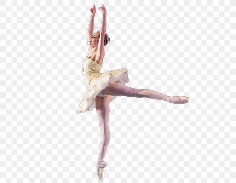 Paris Opera Ballet Choreographer Ballet Dancer, PNG, 965x750px, Watercolor, Cartoon, Flower, Frame, Heart Download Free