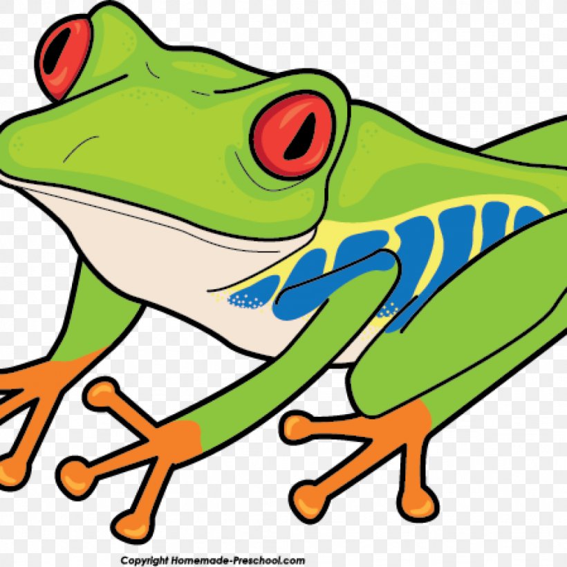 Tree Frogs Clip Art Red-eyed Tree Frog, PNG, 1024x1024px, Frog, Agalychnis, American Green Tree Frog, Amphibian, Animal Download Free
