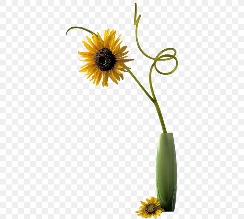 Flower Vase Photofiltre Clip Art Png 379x736px Flower Blume Common Sunflower Daisy Daisy Family Download Free