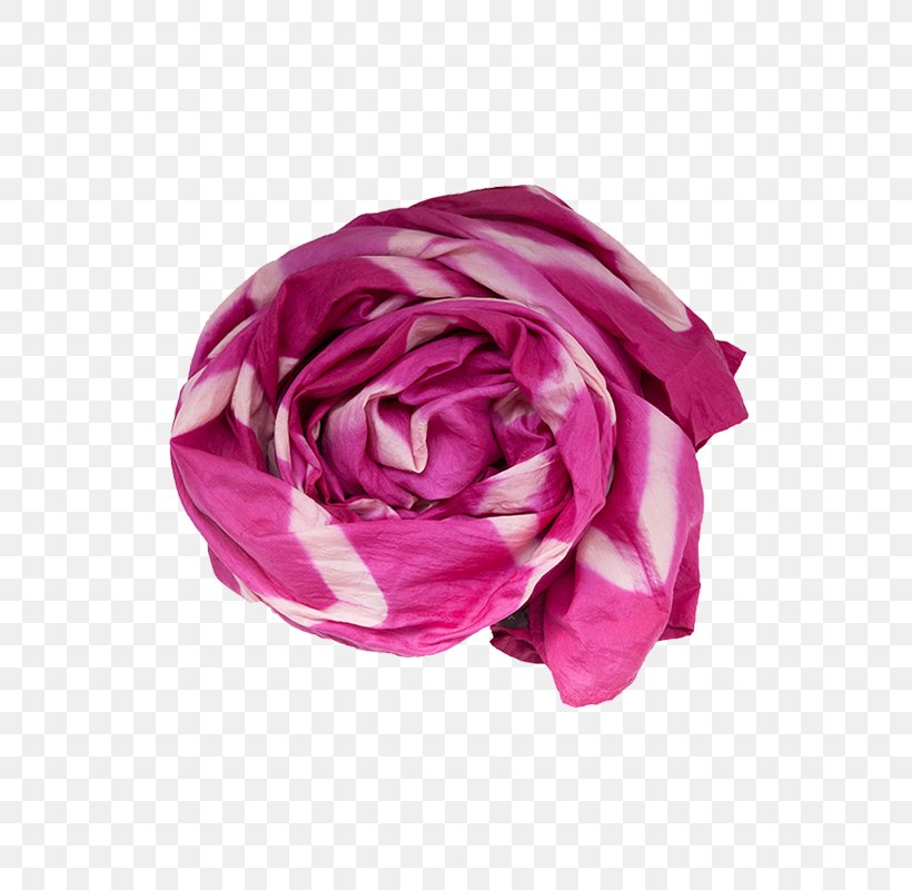 Garden Roses Pink Stock Photography Rosa Moschata Royalty-free, PNG, 800x800px, Garden Roses, Blue, Cut Flowers, Flower, Magenta Download Free