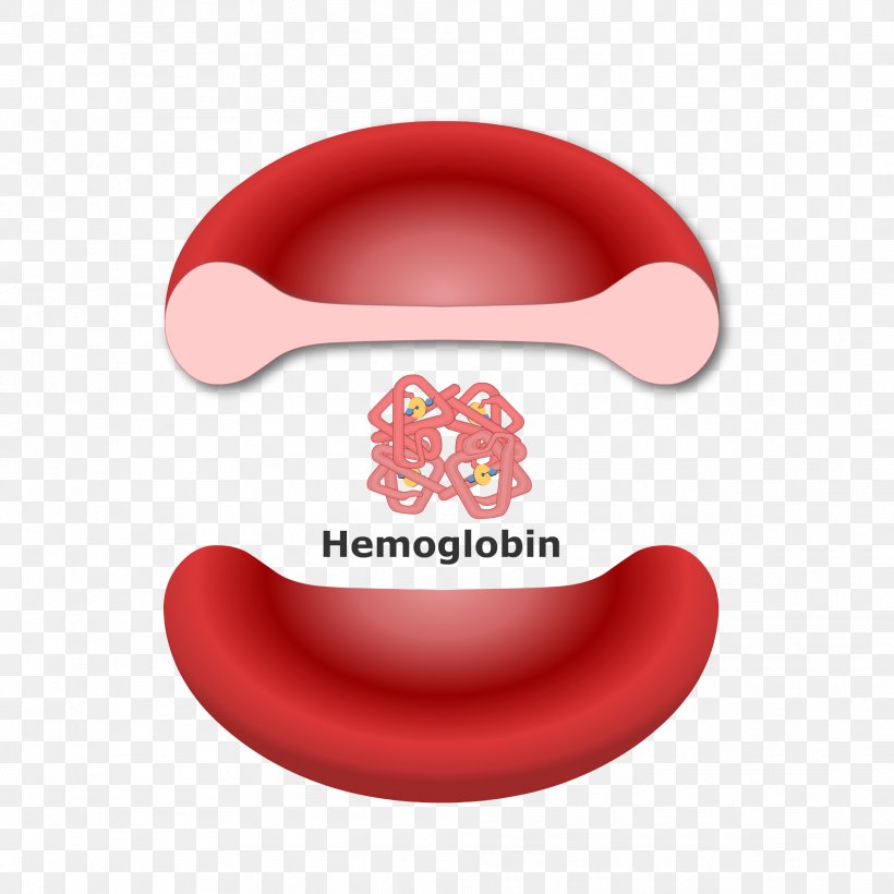 Hemoglobin Red Blood Cell Molecule Heme, PNG, 1913x1913px, Hemoglobin, Blood, Blood Cell, Cell, Globin Download Free