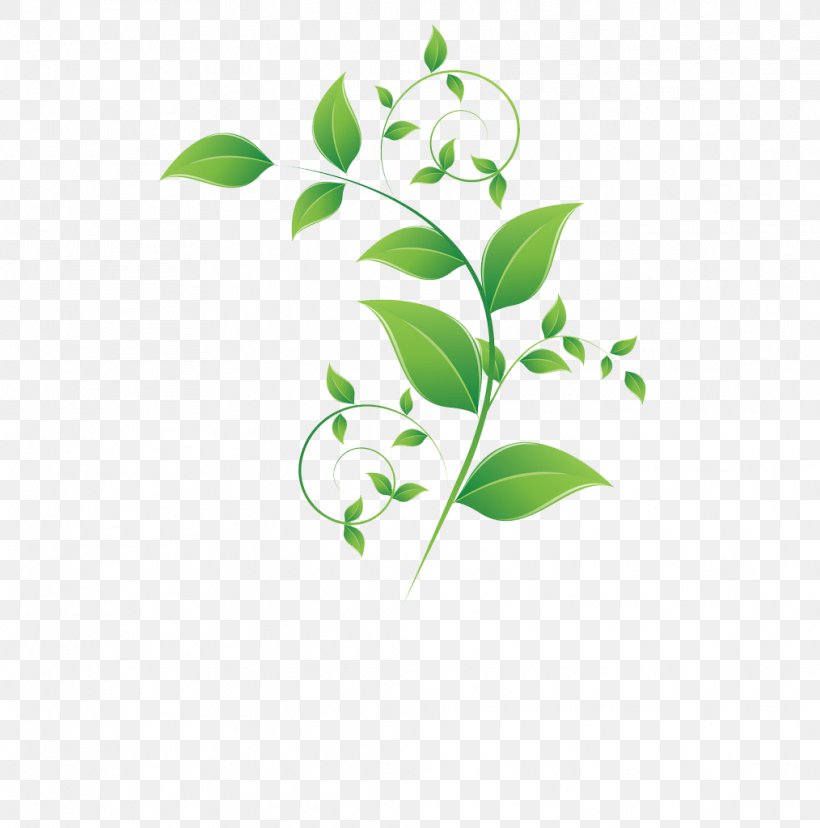 Leaf Adobe Illustrator Green, PNG, 1014x1024px, Leaf, Branch, Chamomile, Flora, Flower Download Free