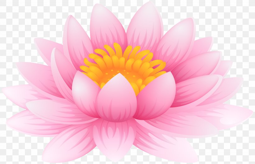 Nelumbo Nucifera Nymphaea Lotus Lilium Clip Art, PNG, 8000x5157px, Nelumbo Nucifera, Aquatic Plant, Chrysanths, Close Up, Dahlia Download Free