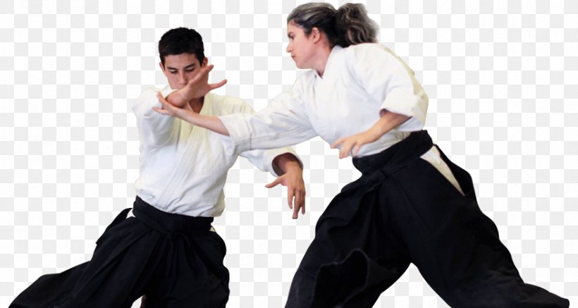 Aikido Kenjutsu Martial Arts Jujutsu Brazilian Jiu-jitsu, PNG, 877x468px, Aikido, Aikido Techniques, Baguazhang, Bokken, Brazilian Jiujitsu Download Free