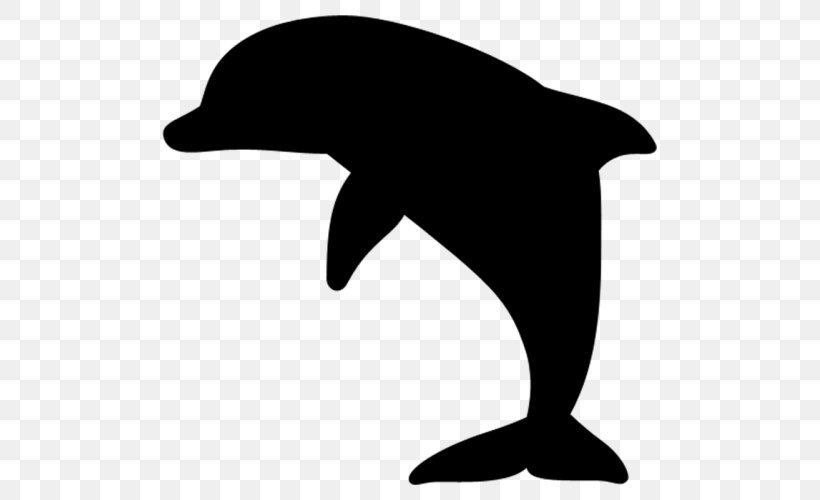 Common Bottlenose Dolphin Tucuxi T-shirt Spreadshirt, PNG, 525x500px, Common Bottlenose Dolphin, Beak, Black, Black And White, Bottlenose Dolphin Download Free