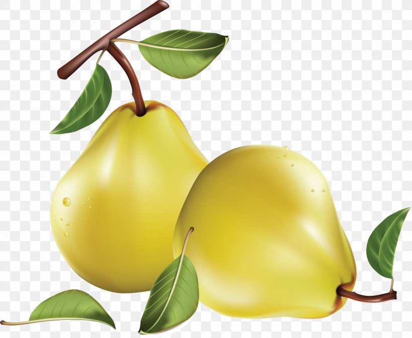 Pear Clip Art, PNG, 3567x2929px, Fruit, Apple, Bell Pepper, Blog, Citrus Download Free