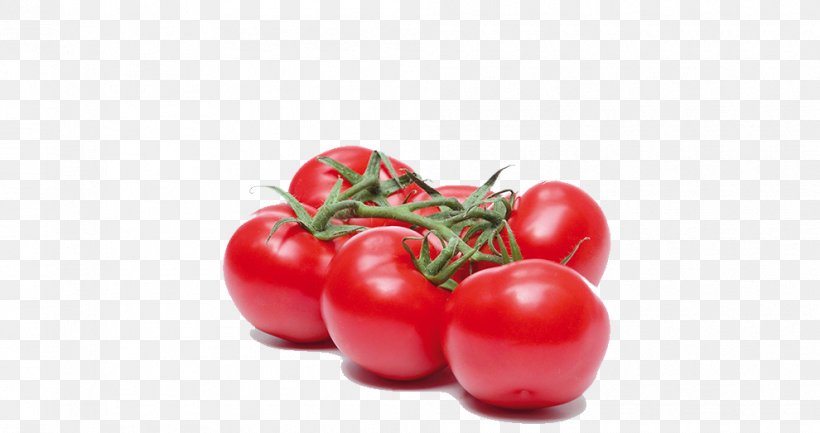 Plum Tomato Bush Tomato Cherry Tomato Potato Food, PNG, 990x523px, Plum Tomato, Auglis, Bush Tomato, Cherry, Cherry Tomato Download Free