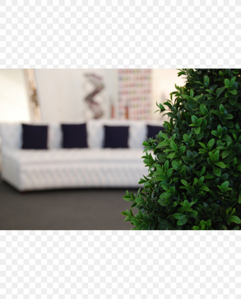 Rectangle Wall Flowerpot Herb, PNG, 1024x1269px, Rectangle, Flowerpot, Furniture, Grass, Herb Download Free