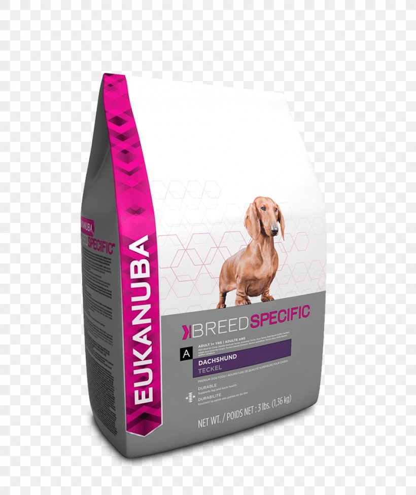 Yorkshire Terrier Chihuahua Dachshund Labrador Retriever Dog Food, PNG, 946x1128px, Yorkshire Terrier, Breed, Chihuahua, Dachshund, Dog Download Free