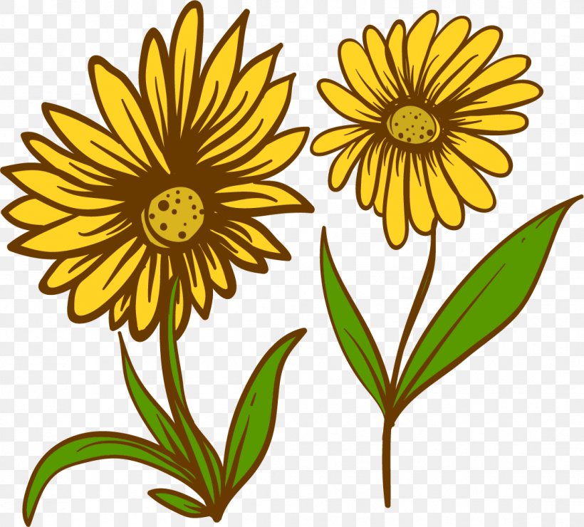 Chrysanthemum Flower Euclidean Vector, PNG, 1108x1001px, Chrysanthemum, Black And White, Chrysanths, Dahlia, Daisy Download Free