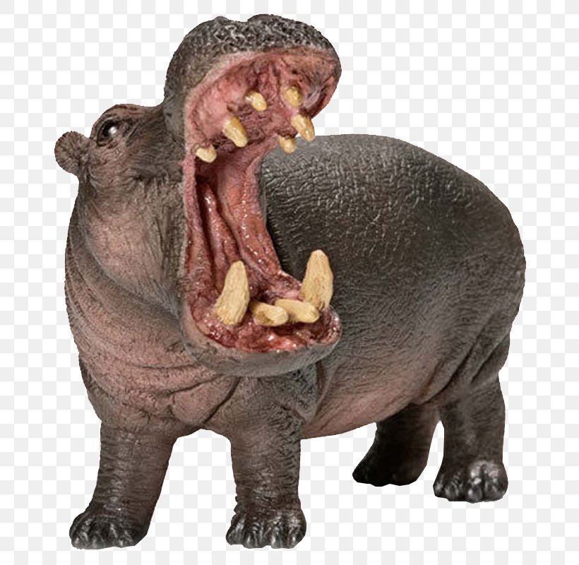 Hippopotamus The Hippo Schleich Wildlife Toy, PNG, 800x800px, Hippopotamus, Animal Figure, Animal Figurine, Fauna, Figurine Download Free