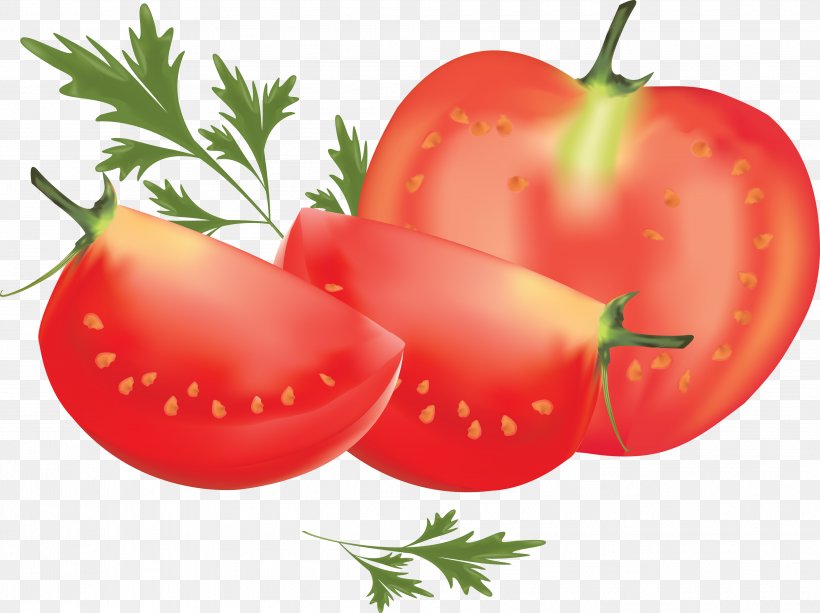 Plum Tomato Roma Tomato Clip Art, PNG, 3819x2856px, Cherry Tomato, Apple, Bell Peppers And Chili Peppers, Bush Tomato, Cartoon Download Free