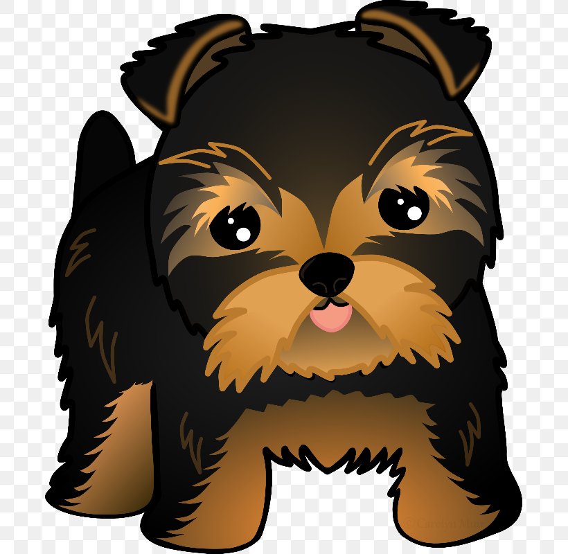 Yorkshire Terrier Puppy Dog Breed Shih Tzu Pomeranian, PNG, 689x800px, Yorkshire Terrier, Breed, Carnivoran, Companion Dog, Cuteness Download Free
