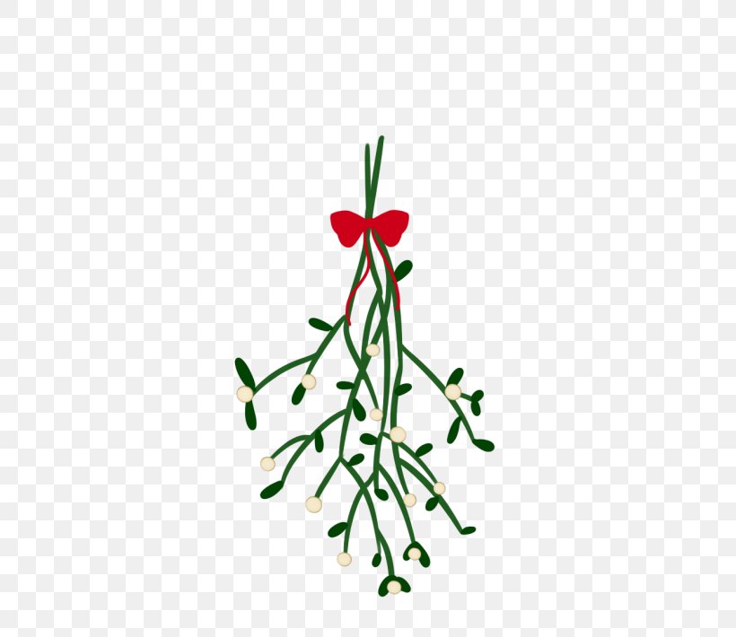 Christmas Lights Mistletoe Christmas Tree, PNG, 500x710px, Christmas, Area, Artwork, Branch, Christmas And Holiday Season Download Free