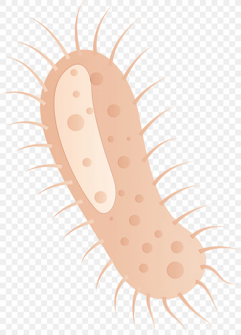 Mouth Flatworm Worm Ear, PNG, 2160x3000px, Coronavirus, Corona, Covid, Ear, Flatworm Download Free