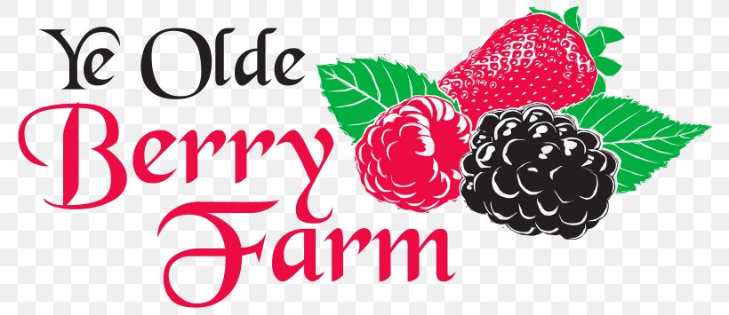 Strawberry Olde Berry Farm_采莓 Boysenberry Raspberry, PNG, 800x355px, Strawberry, Berry, Blackberry, Blueberry, Boysenberry Download Free