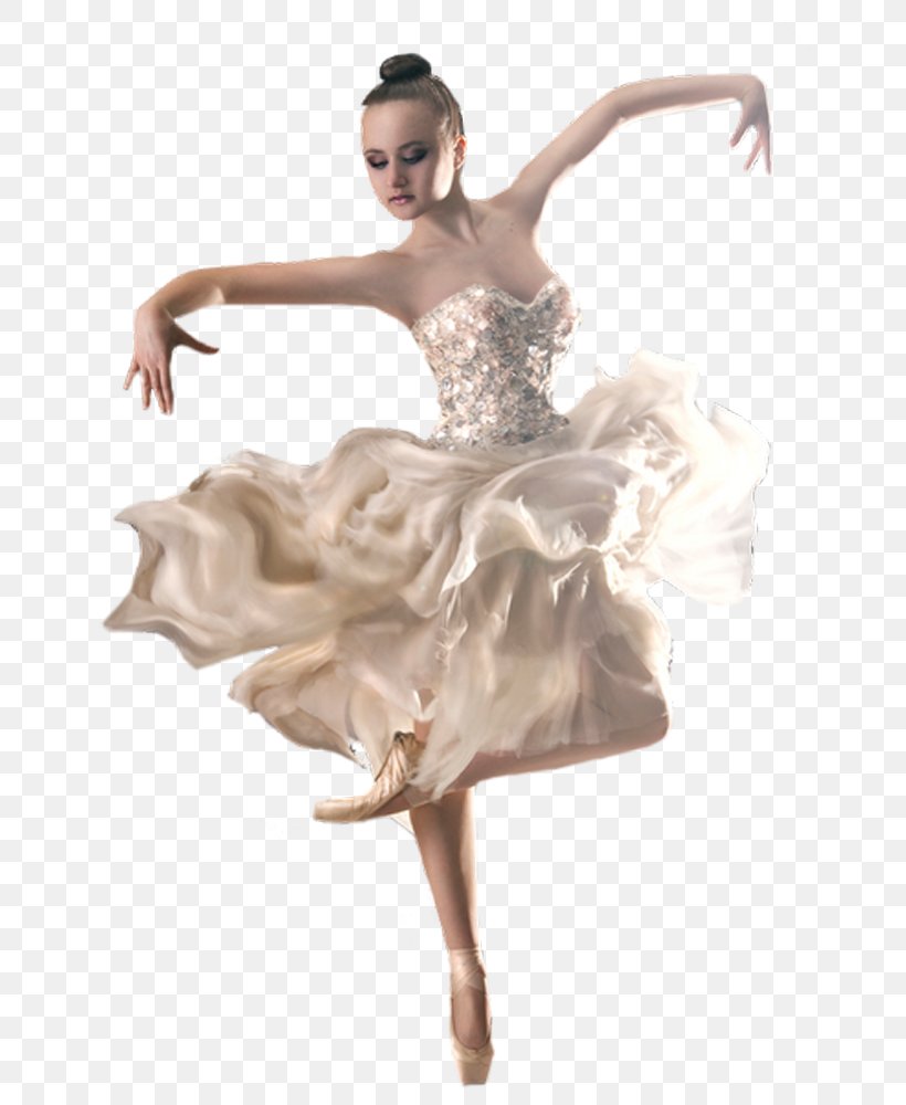 Vaganova Academy Of Russian Ballet Ballet Dancer Pointe Shoe, PNG, 655x1000px, Watercolor, Cartoon, Flower, Frame, Heart Download Free