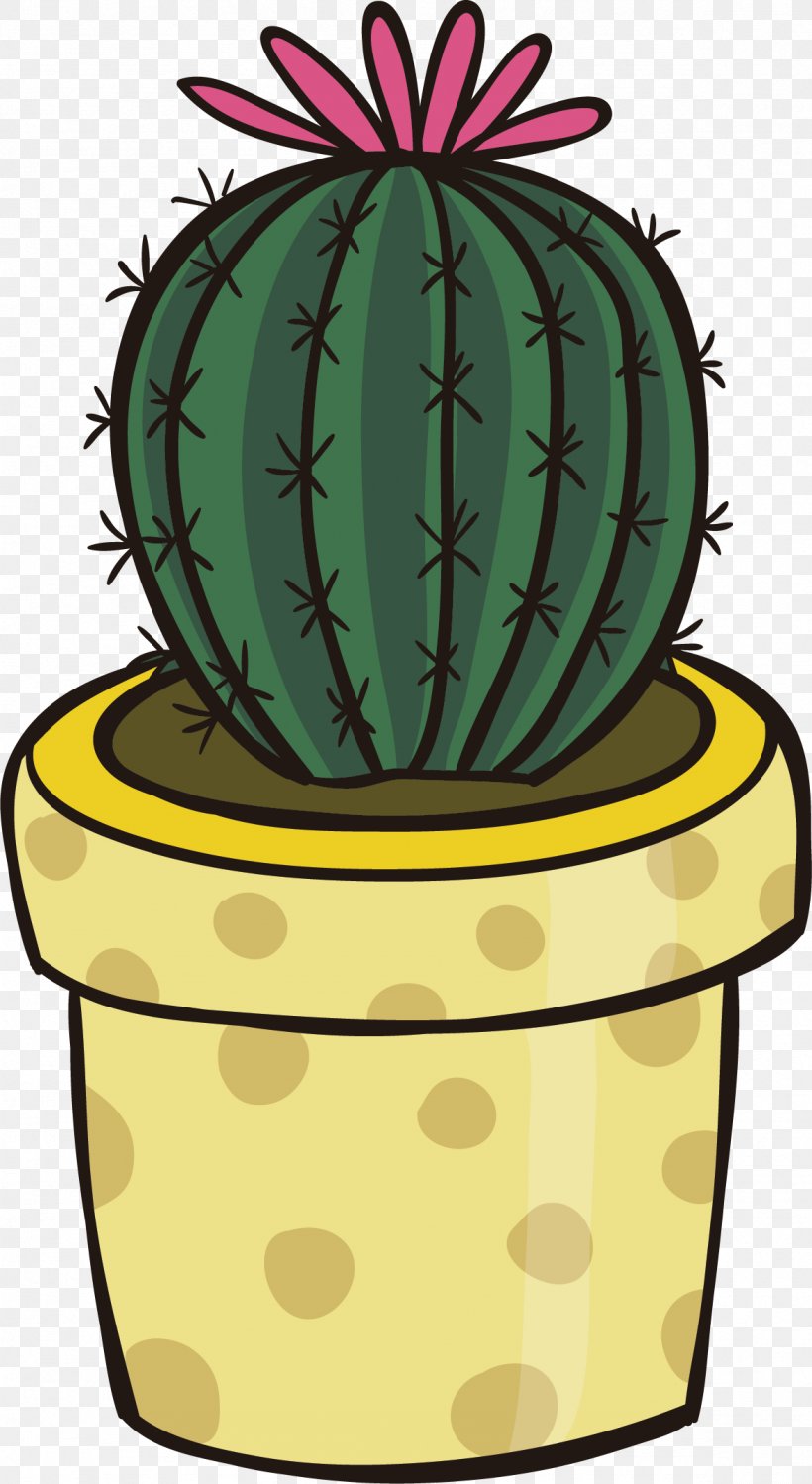 Cactaceae Clip Art, PNG, 1179x2155px, Cactaceae, Cactus, Caryophyllales, Computer Graphics, Flowering Plant Download Free